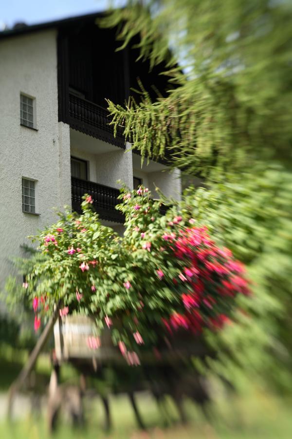 Landhaus Am Forst - Apartments 바트알렉산더스바트 외부 사진